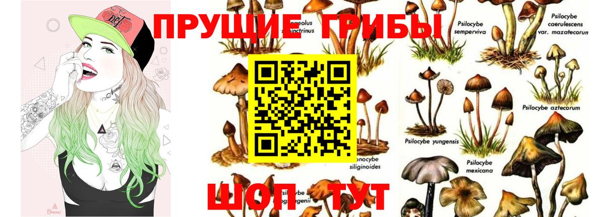 Псилоцибиновые грибы прущие грибы  Вход с VPN  Котлас 